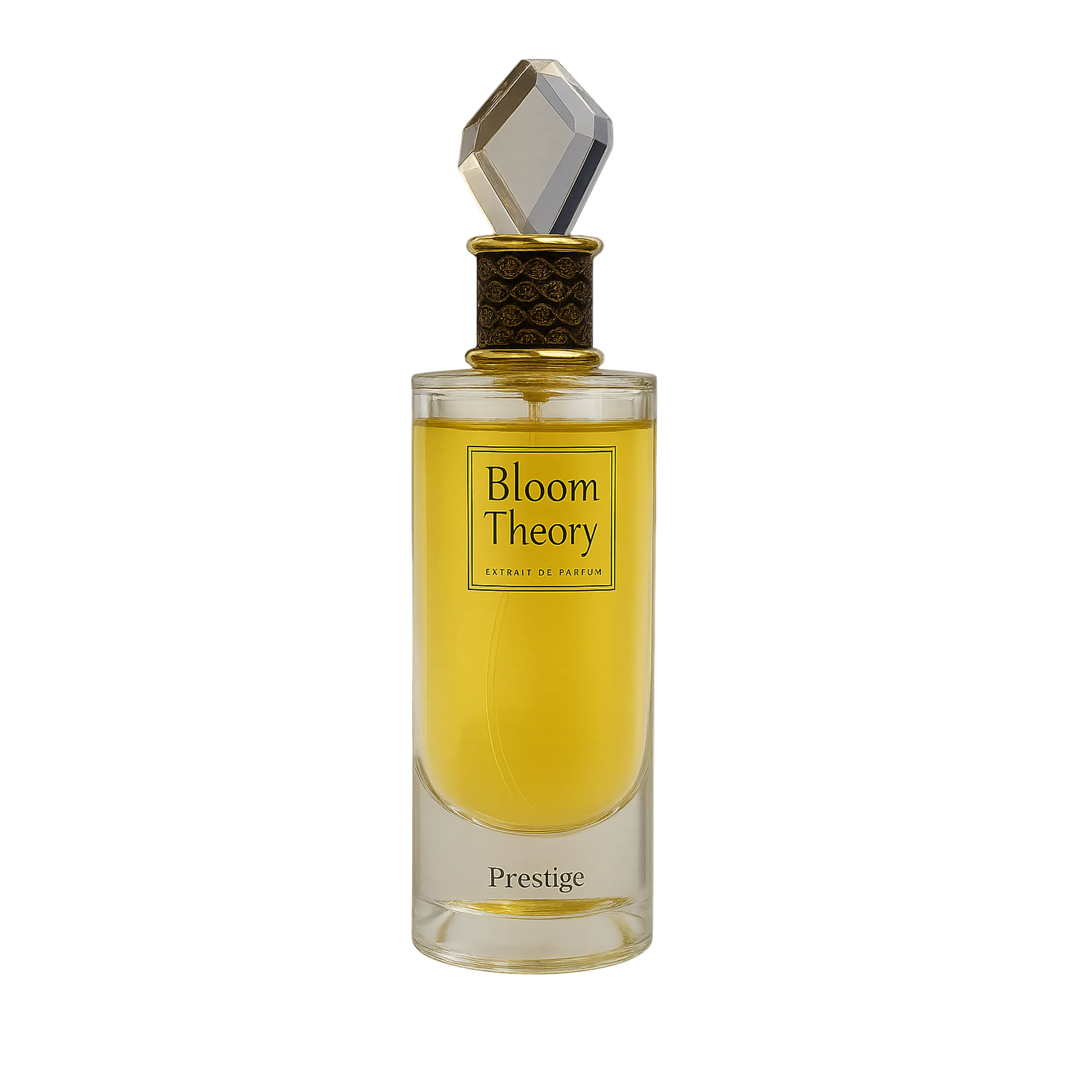 Bloom Theory